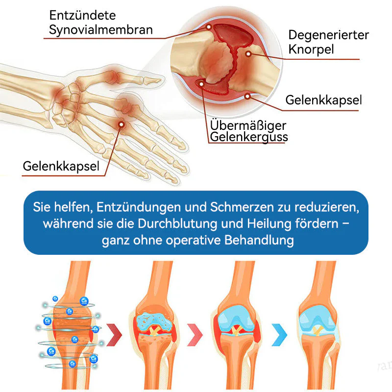 Vorschaubild 8